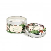 Soy Wax Candle, Spruce by Michel Design Works